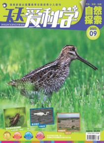 天天爱科学期刊